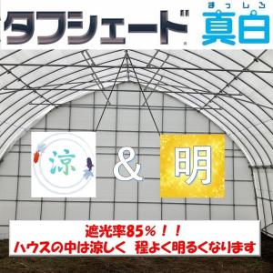 タフシェード真白 まっしろ 0.15mm厚 1...の詳細画像1