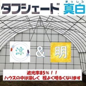 タフシェード真白 まっしろ 0.15mm厚 6...の詳細画像1