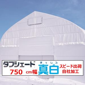 白白コート5 厚み0.15mm 1000cm幅 メーター単位切売り : 農業資材専門