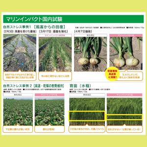 バイオスティミュラント資材 マリンインパクト ...の詳細画像4