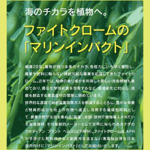バイオスティミュラント資材 マリンインパクト ...の詳細画像5