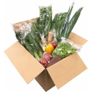 農流研　野菜セット