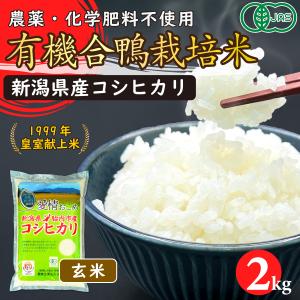コシヒカリ 令和7年産 無農薬 玄米 無化学肥料 送料無料 玄米 2kg