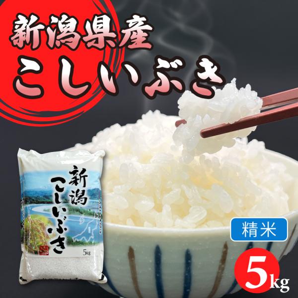 令和7年産こしいぶき（精米）5kg【新潟県胎内市産】