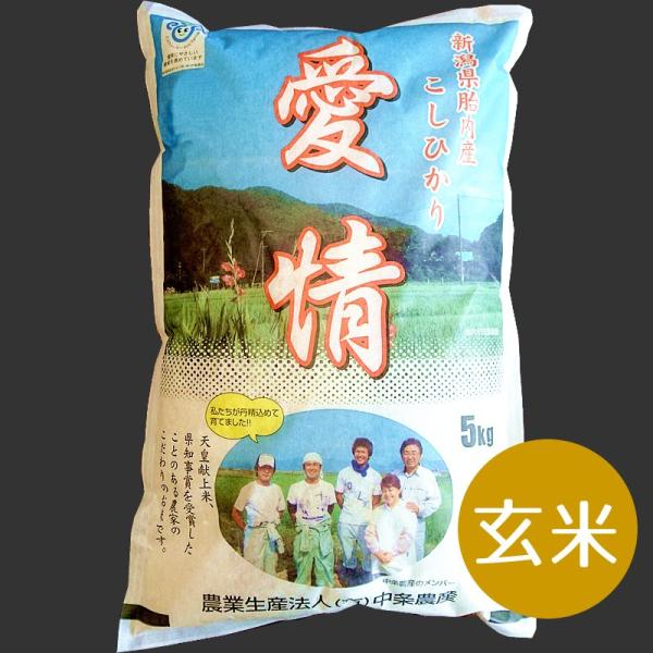 特別栽培米コシヒカリ（玄米）20Kg【新潟県胎内産】
