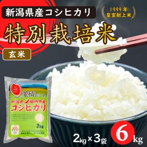 コシヒカリ 令和7年産 特別栽培米コシヒカリ（精米）10Kg（5kgx2