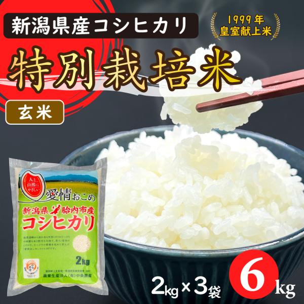 令和7年産　特別栽培米コシヒカリ（玄米）6Kg（2kgｘ3）【新潟県胎内市産】