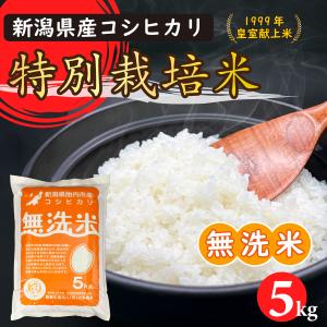コシヒカリ 令和7年産 特別栽培米コシヒカリ（精米）10Kg（5kgx2