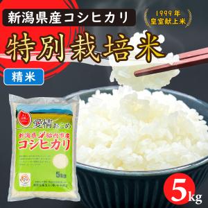 令和7年産　特別栽培米コシヒカリ（精米）5Kg【新潟県胎内市産】
