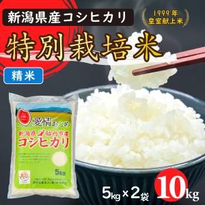 令和7年産　特別栽培米コシヒカリ（精米）10Kg（5kgｘ2）【新潟県胎内市産】