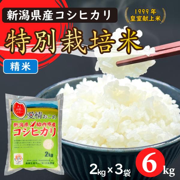 令和7年産　特別栽培米コシヒカリ（精米）6Kg（2kgｘ3）【新潟県胎内市産】