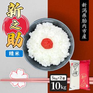 令和7年産 新潟県産 新之助 10kg (5kg×2袋) 送料無料(一部地域を除く