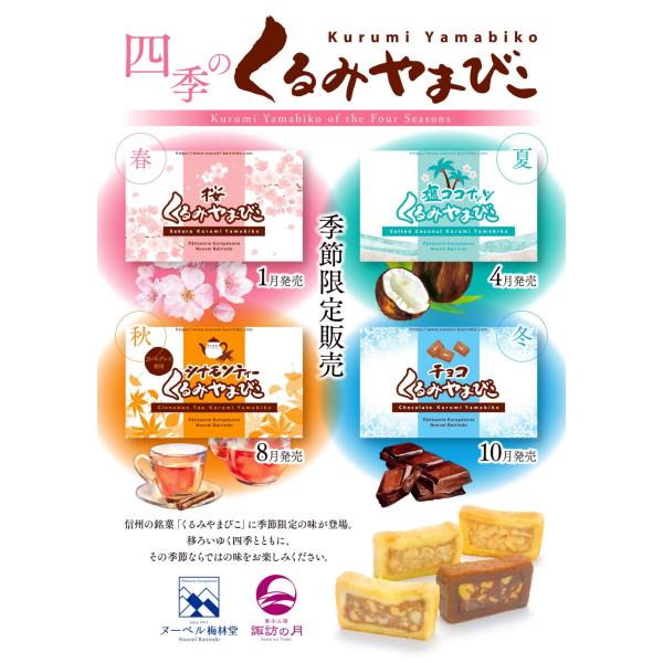 四季のやまびこ10個入り（塩ココナッツ）モンドセレクション 20年連続 最高金賞 お菓子 長野県 お...