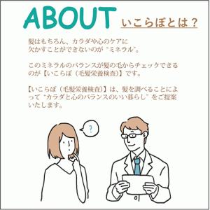 【いこらぼ毛髪栄養検査】毛髪で調べるミネラル検...の詳細画像1