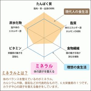 【いこらぼ毛髪栄養検査】毛髪で調べるミネラル検...の詳細画像2