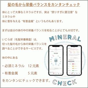 【いこらぼ毛髪栄養検査】毛髪で調べるミネラル検...の詳細画像5