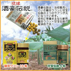 琉球酒豪伝説 6包入り お試し ウコン サプリ...の詳細画像1
