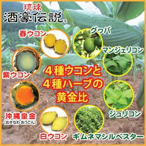 琉球酒豪伝説 6包入り お試し ウコン サプリ...の詳細画像2