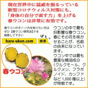 琉球酒豪伝説 6包入り お試し ウコン サプリ...の詳細画像3
