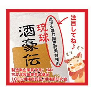 琉球酒豪伝説 6包入り お試し ウコン サプリ...の詳細画像4