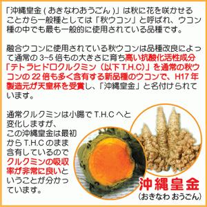 琉球酒豪伝説 6包入り お試し ウコン サプリ...の詳細画像5