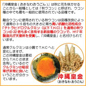 琉球酒豪伝説 6包入り×5袋(30包) ウコン...の詳細画像5