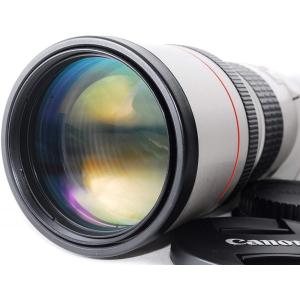 EFレンズ キヤノン Canon EF 50mm F1.2L USM 単焦点レンズ 一眼レフ