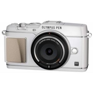 SONY（ソニー） α55 SLT-A55V 標準・望遠ダブルズームセット 美品 高速