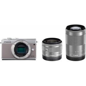 高速連写に定評アリ☆SONY α55 ダブルズーム☆SDカード付き SONY（ソニー） α55 ダブルズームセット 美品 SDカード付 フード付