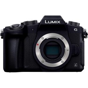 LUMIX パナソニック Panasonic ルミックス DMC-GF5 ボディ ブラック