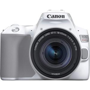 ニコン（Nikon） Nikon D2X BODY 1240万画素 良品 動作確認済み 1ヶ月