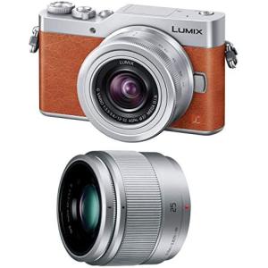Panasonic（パナソニック） 中古 1年保証 美品 Panasonic LUMIX GF9