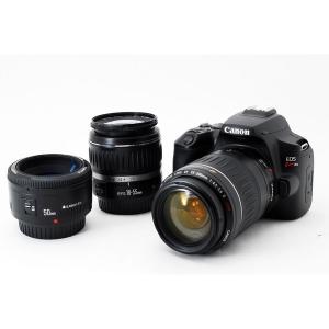キヤノン（Canon） Canon EOS 6D Mark II トリプルレンズセット 良品