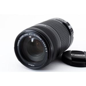 Canon EF 70-300mm f/4-5.6 IS USM Autofocus Telephoto Zoom Lens