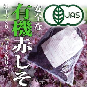 有機栽培 赤しそ赤シソ あかしそ 300ｇ ＪＡＳ紫蘇しそ梅干ジュース づくり ７月１０日
