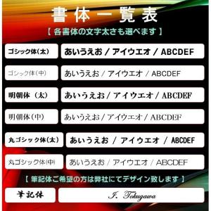 ボールペン 名入れ オリジナル タッチペン付ビ...の詳細画像2