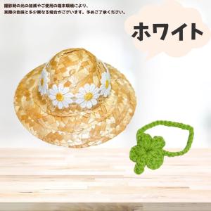 10cm-15cm ぬい服 麦わら帽子とポシェ...の詳細画像5