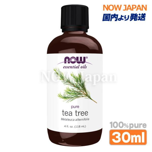 ティーツリー 精油 業務用 118mL(4fl.oz.) 大容量 now foods 正規輸入品 t...