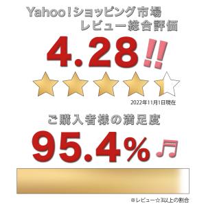 脇肉 ブラジャー ブラショーツセット 改良型 ...の詳細画像2