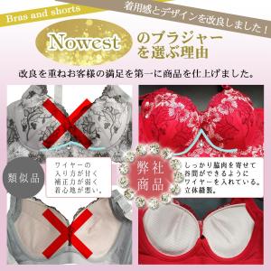 脇肉 ブラジャー ブラショーツセット 改良型 ...の詳細画像5