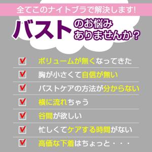 現役モデル監修 夜用ブラ ナイトブラ 2枚セッ...の詳細画像1