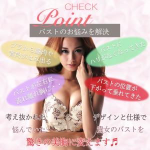下着 上下セット 5点セット 福袋 ブラジャー...の詳細画像3