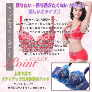 下着 上下セット 5点セット 福袋 ブラジャー...の詳細画像5