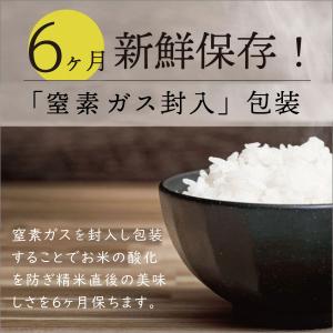 無洗米あきたこまち1合×50袋 送料無料 窒素...の詳細画像3