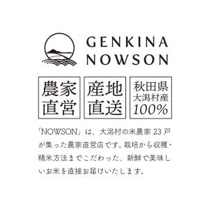 無洗米あきたこまち1合×50袋 送料無料 窒素...の詳細画像5