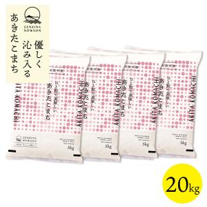 令和6年産 秋田県産  あきたこまち 20kg(5kg×4袋) 脱気包装★選べる精米【白米 無洗米】★