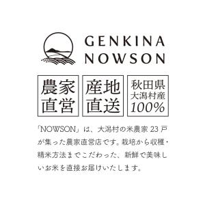 あきたこまち 20kg 送料無料 脱気包装5k...の詳細画像5