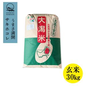 サキホコレ 30kg 1等玄米 送料無料 2023年産 令和5年産  秋田県産 農家直送 送料無料｜元気な農村