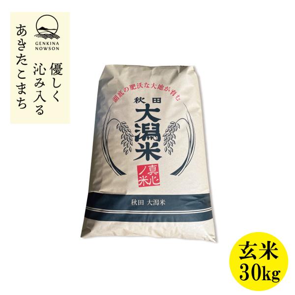 新米出荷開始！特別栽培米1等あきたこまち３０ｋｇ玄米　送料無料  令和7年産 紙袋 秋田県産 農家直...