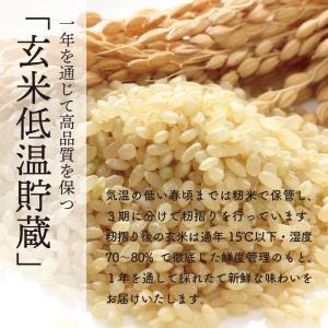 特別栽培米1等あきたこまち30kg玄米 送料無...の詳細画像3